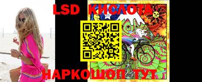 прущие грибы Шахты