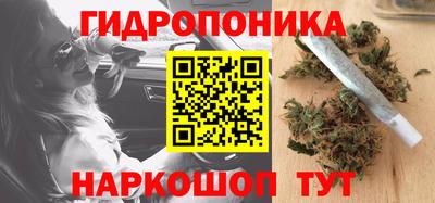 прущие грибы Шахты