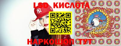 прущие грибы Шахты