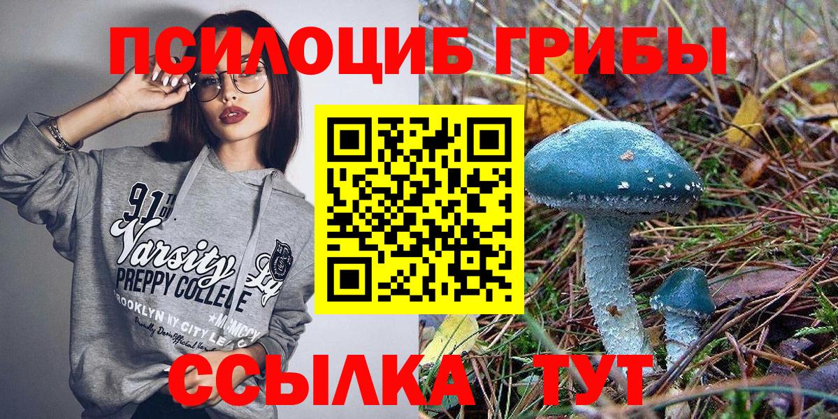 Псилоцибиновые грибы ЛСД Сердобск